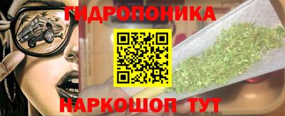 ПСИЛОЦИБИНОВЫЕ ГРИБЫ Аргун