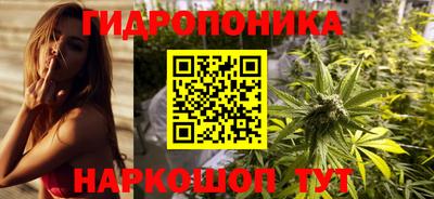 ПСИЛОЦИБИНОВЫЕ ГРИБЫ Аргун