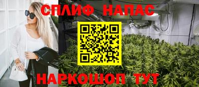 крисы Апшеронск
