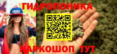 ПСИЛОЦИБИНОВЫЕ ГРИБЫ Аргун