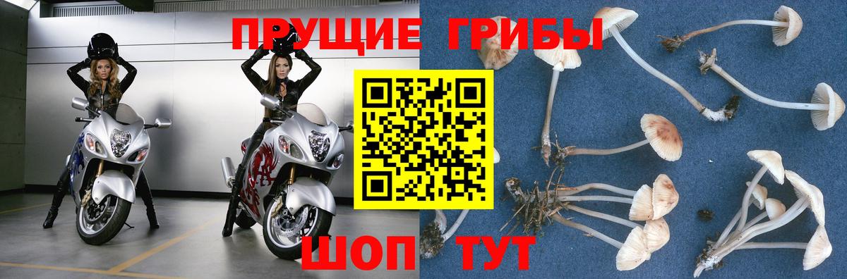 Балашиха  купить наркотик  Вход с VPN  Галлюциногенные грибы Magic Shrooms 